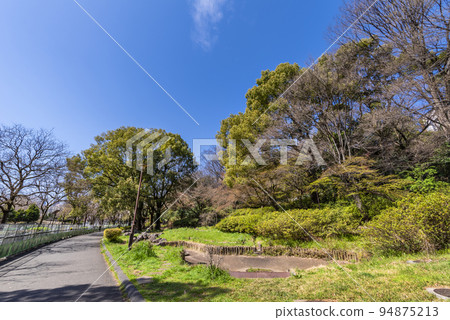 Scenery of Toyama Park in spring 94875213