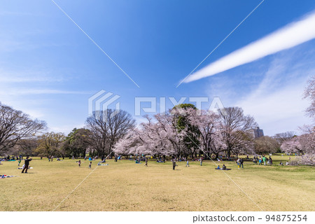 Kinuta 公園的風景有櫻花的 94875254