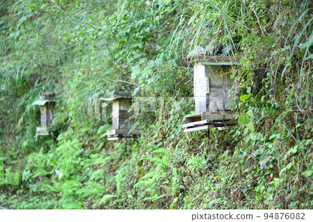 Honeycomb hive box Honeycomb hive box 94876082
