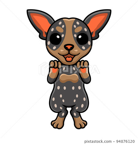 Cute australian cattle dog cartoon 94876120