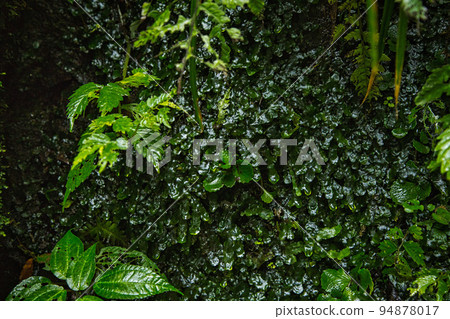 第一力量瀑布 94878017