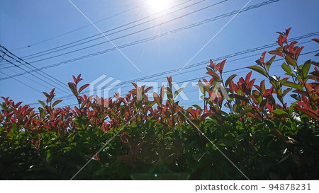 下午的時間 94878231