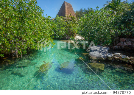 Cancun idyllic caribbean beach with turtle and palapa, Riviera Maya, Mexico 94878770