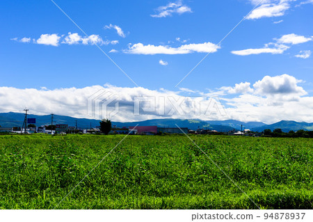 Scenery seen from the construction site "World-famous semiconductor manufacturer TSMC (Taiwan Semiconductor Manufacturing) planned factory site" 94878937