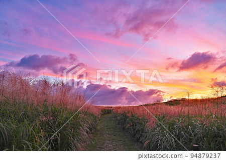 【Soni Plateau(晚間)】奈良縣宇田區Soni村太郎寺 【Soni Plateau(晚間)】奈良縣宇田區Soni村太郎寺 94879237