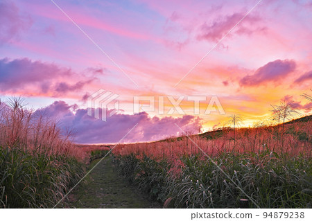 【Soni Plateau(晚間)】奈良縣宇田區Soni村太郎寺 【Soni Plateau(晚間)】奈良縣宇田區Soni村太郎寺 94879238