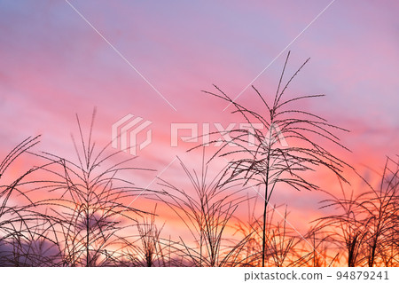 [Soni Plateau (Evening)] Taroji, Soni Village, Uda District, Nara Prefecture 94879241