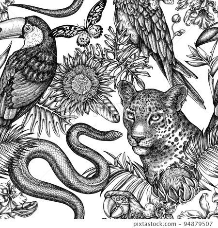 Tropical animals seamless pattern background design. Engraved style. Hand drawn leopard, snake, toucan, scarlet macaw, african giant swallowtail, monstera, strelitzia, tropical palm leaves, orchid 94879507