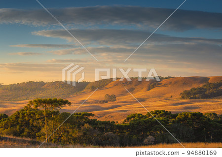 Southern Brazil countryside and meadows landscape at peaceful sunrise Southern Brazil countryside and meadows landscape at peaceful sunrise 94880169