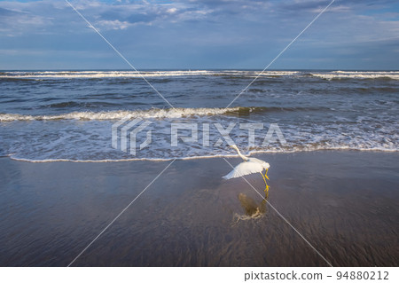 Beach in Torres city, Rio Grande do Sul state at sunset, Southern Brazil 94880212
