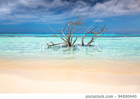 Aruba idyllic caribbean beach at sunny day, Dutch Antilles, Caribbean Sea Aruba idyllic caribbean beach at sunny day, Dutch Antilles, Caribbean Sea 94880440