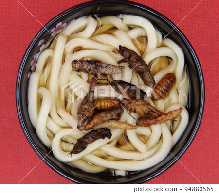 Udon with Insect Topping Udon with Insect Topping 94880565