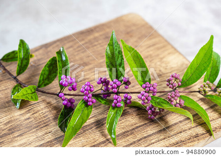 Komurasaki水果 94880900