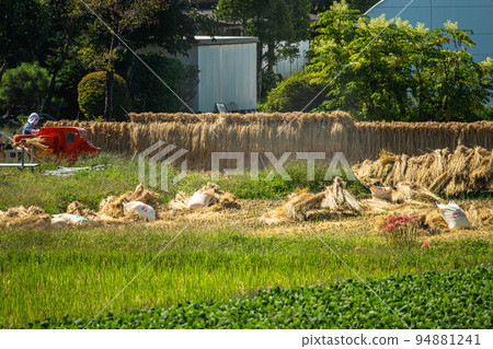 Senior woman doing farm work and rural landscape 94881241