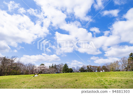 Scenery of Fuchu no Mori Park with cherry blossoms and "Big Square" 94881303