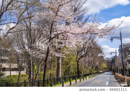 三鷹市，東京，風長廊的風景與櫻花 94881311