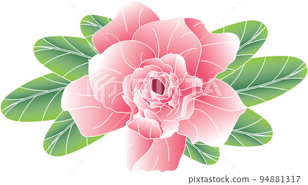 Abstract of Desert rose, Mock Azalea, Pinkbignonia, Impala lily flower with leaves on white background. 94881317