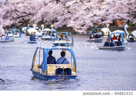 櫻花盛開的井之頭池風景 乘船觀賞櫻花的人們 櫻花盛開的井之頭池風景 乘船觀賞櫻花的人們 94881333