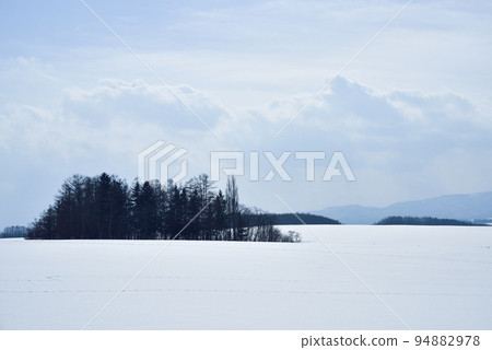 Biei斯諾伊風景在冬天 Biei斯諾伊風景在冬天 94882978