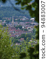 Dorking Framed By Trees 94883007