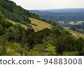 Slopes of Box Hill Surrey 94883008