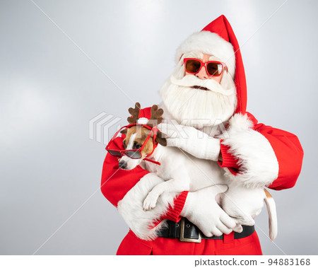 Santa claus and santa's helper in sunglasses on a white background. Jack russell terrier dog in a deer costume. Santa claus and santa's helper in sunglasses on a white background. Jack russell terrier dog in a deer costume. 94883168
