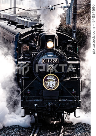 SL big tree SL big tree 94884690