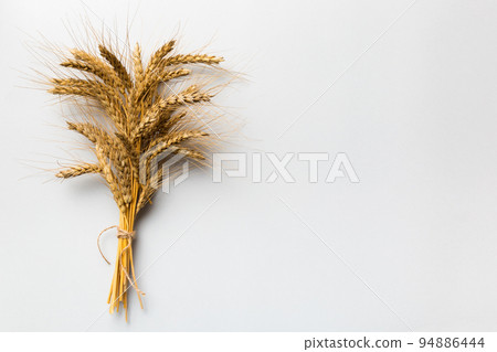 Sheaf of wheat ears close up and seeds on colored background. Natural cereal plant, harvest time concept. Top view, flat lay with copy space. world wheat crisis Sheaf of wheat ears close up and seeds on colored background. Natural cereal plant, harvest time concept. Top view, flat lay with copy space. world wheat crisis 94886444