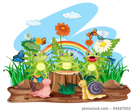 Frog living in nature 94887002