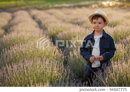 Little boy in a hat on a field with lavender Little boy in a hat on a field with lavender 94887775