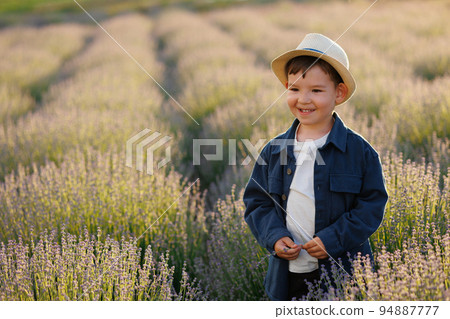 Happy boy in a hat walks through a lavender field Happy boy in a hat walks through a lavender field 94887777