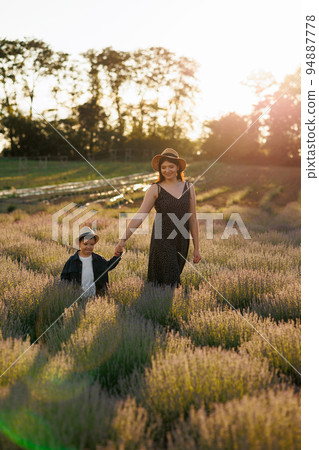 Mother with a little son walking in a lavender field at sunset Mother with a little son walking in a lavender field at sunset 94887778
