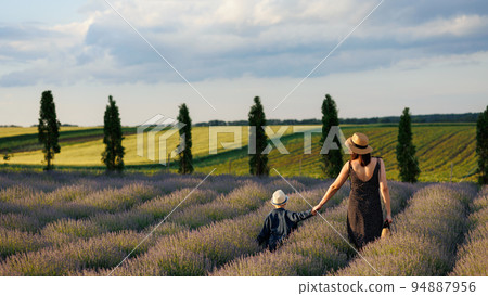 Rear view of mother and son walking hand in hand in lavender field Rear view of mother and son walking hand in hand in lavender field 94887956