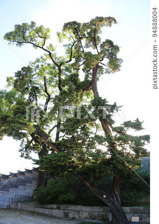 瞻博網絡 94888004