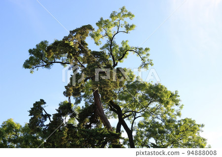 瞻博網絡 94888008