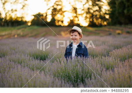 Cute boy in the middle of a lavender field Cute boy in the middle of a lavender field 94888295