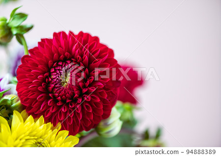 Bunch of dahlias Bunch of dahlias 94888389