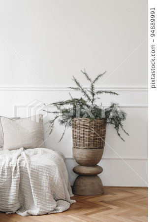 Elegant Christmas interior. White moulding panelling wall background, empty copy space. Bed, sofa with linen cushions, throw. Evergreen larch, pine tree branches in wicker basket, wooden coffee table. 94889991