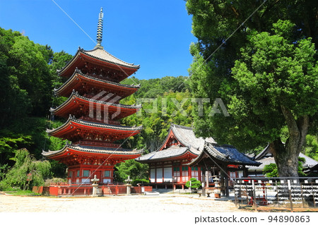 [Hiroshima Prefecture] The five-storied pagoda and main hall of Myo-in Temple in sunny weather 94890863