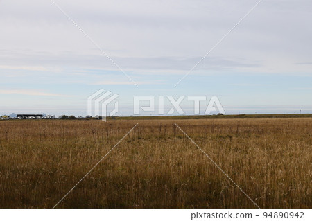 [Iceland] Scenery from Seljalandsfoss 94890942