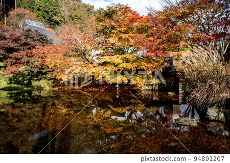 秋天的Kokin Denju no Sato 94891207