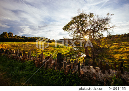 Spiky Bridge in Tasmania Australia 94891463