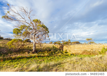 Spiky Bridge in Tasmania Australia 94891483