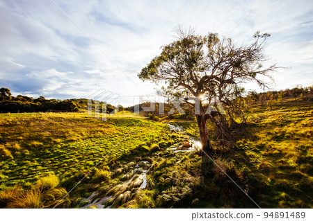 Spiky Bridge in Tasmania Australia 94891489