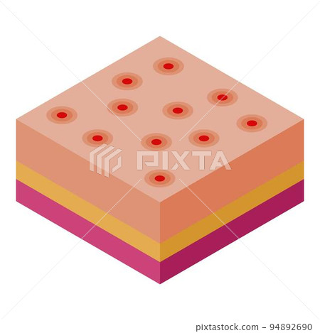 Skin chicken pox icon. Isometric of skin chicken pox vector icon for web design isolated on white background Skin chicken pox icon. Isometric of skin chicken pox vector icon for web design isolated on white background 94892690