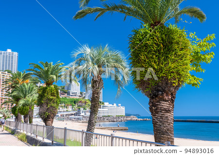 《靜岡縣》熱海陽光海灘度假村 94893016