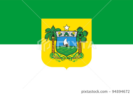 Flag of Rio Grande do Norte state (Federative Republic of Brazil), Jangada, Copernicia prunifera, coconut palm 94894672