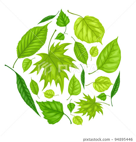 Background with spring leaves. Beautiful decorative foliage. Background with spring leaves. Beautiful decorative foliage. 94895446
