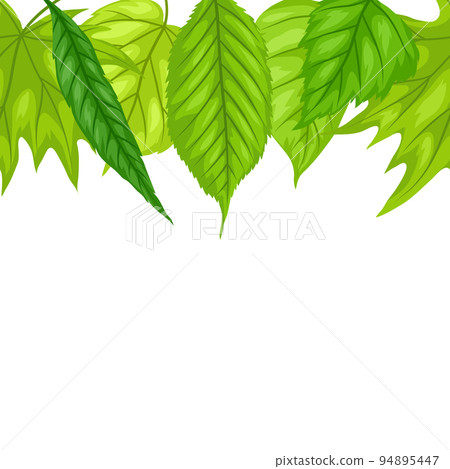 Background with spring leaves. Beautiful decorative foliage. 94895447