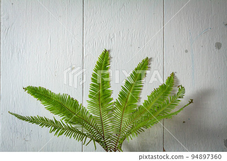 Spring summer border template floral background. Light air delicate artistic image, free space. 94897360